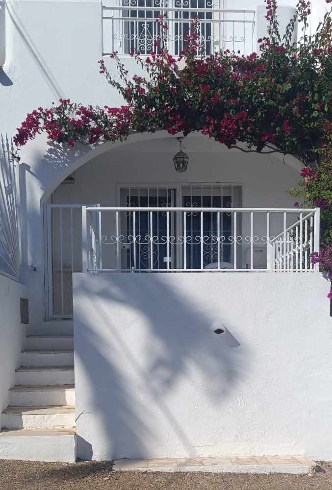 Read more about the article Mojacar Railings and Gate