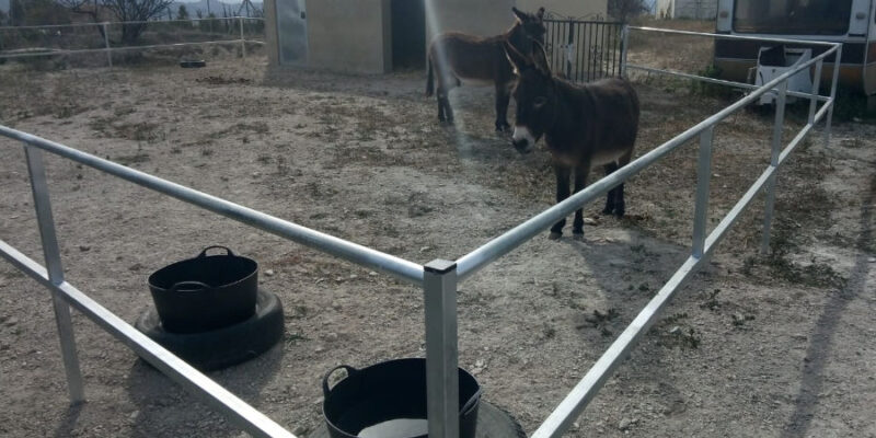 Donkey railings and feed store door