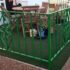 Mojacar Railings and Gate