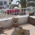 Mojacar Railings and Gate